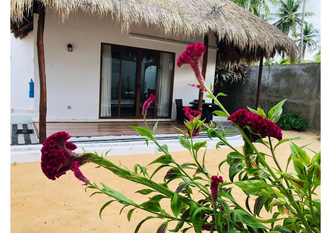 The Blue Lagoon Resort Kalpitiya Exterior foto